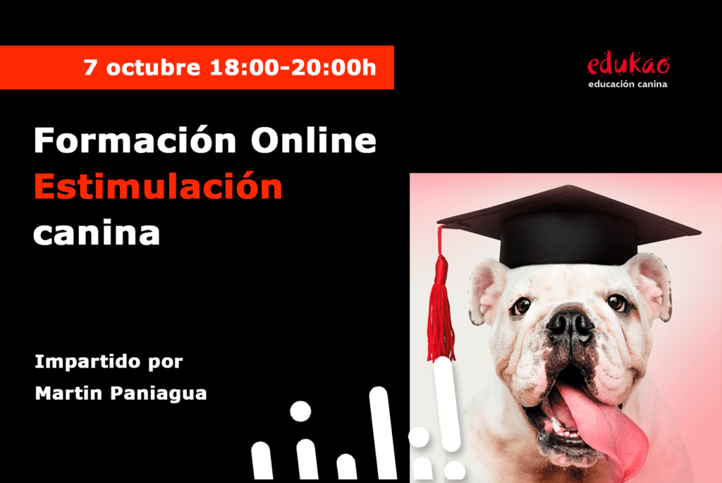 cartel_estimulacon_canina_online_2023_webeventos