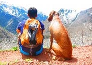 salida a la montaña con perros