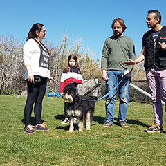 car-adiest-_0001_20190324_110514