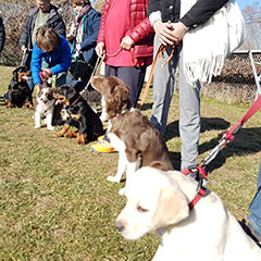 car-adiest-_0008_20190127_135421