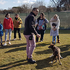 car-adiest-_0009_20190127_121924(0)