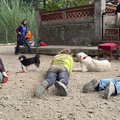 car-adiest-_0011_20141102_120910