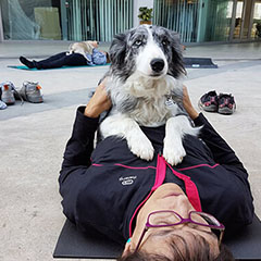 car-adiest-_0012_17424635_1392657697459281_100040893658548309_n