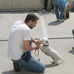 car-adiest-_0014_225931_145900655478011_4570373_n