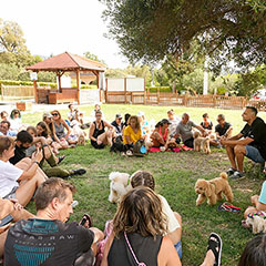 car-adiest-_0023_9-web