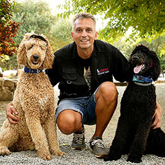 car-adiest-_0028_5-web