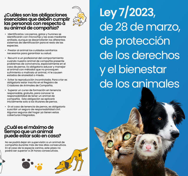 curso para tener perro