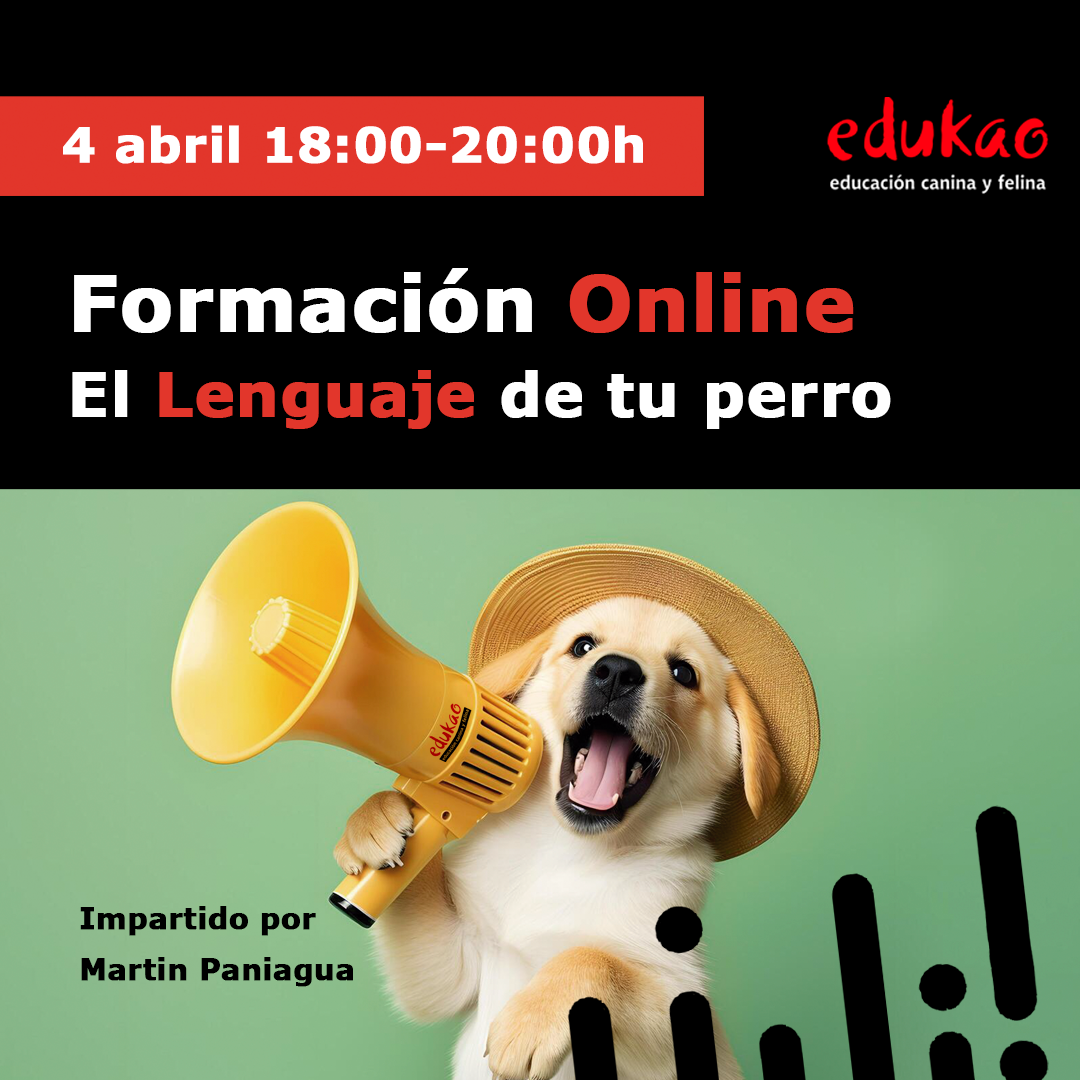 El lenguaje de comunicación de los perros