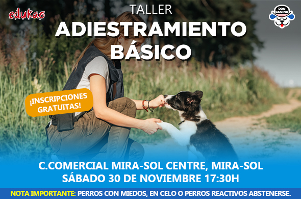 Taller de adiestramiento básico para perros en Edukao