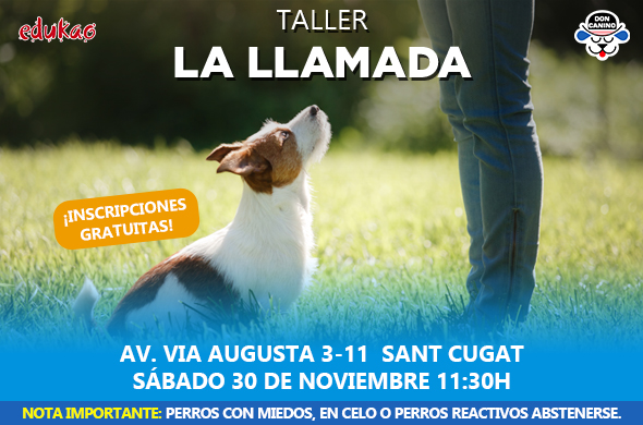 Taller para enseñar a tu perro a responder a la llamada en Edukao