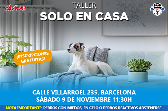 Taller para problemas de quedarse solo en casa para perros en Edukao