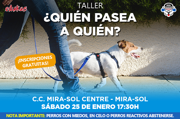 quién pasea a quién