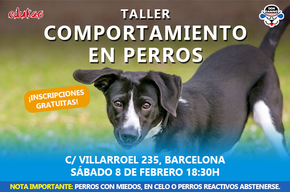comportamiento en perros