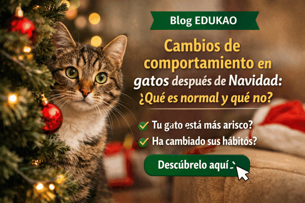Cambios De Comportamiento En Gatos Después De Navidad