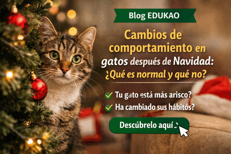 Cambios De Comportamiento En Gatos Después De Navidad