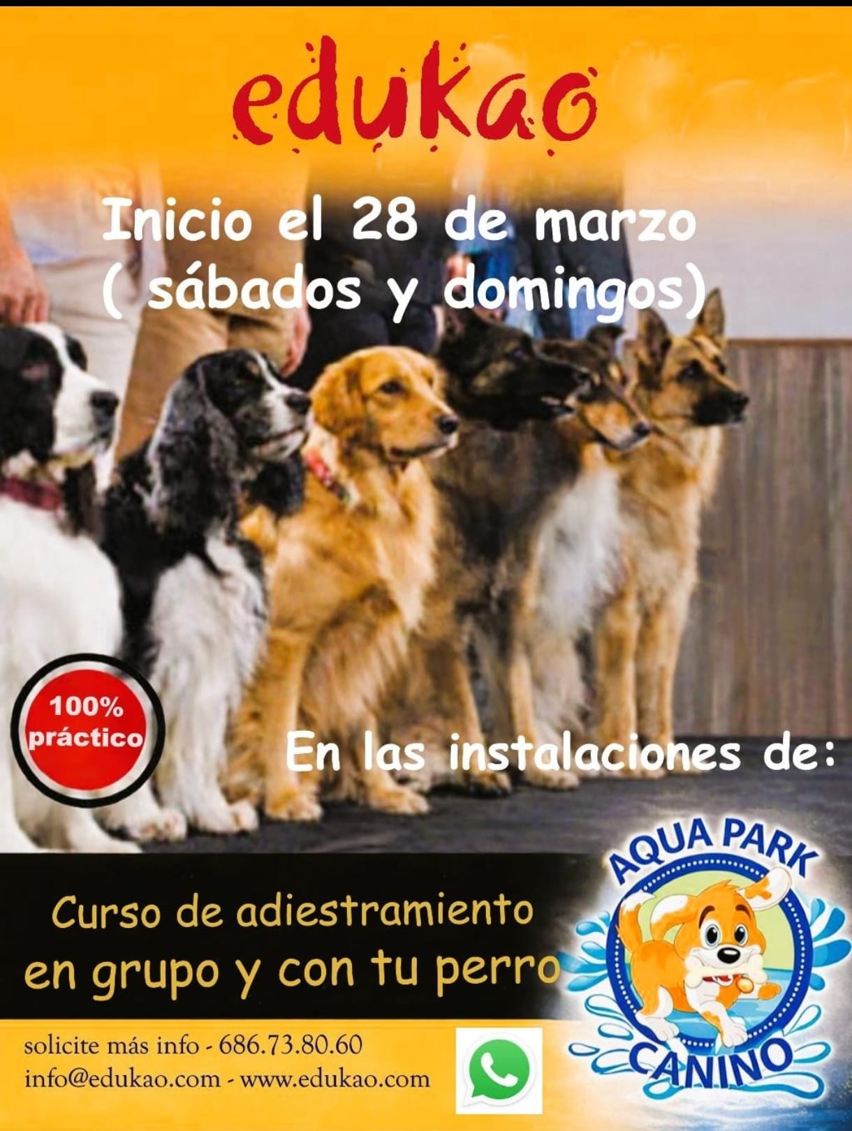 Curso de Adiestramiento en Grupo