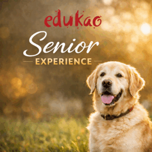 Senior Experience: adopta un perro senior con carácter definido y educación