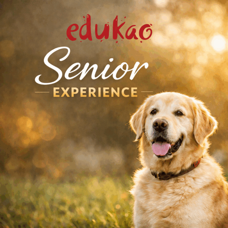 Senior Experience: adopta un perro senior con carácter definido y educación