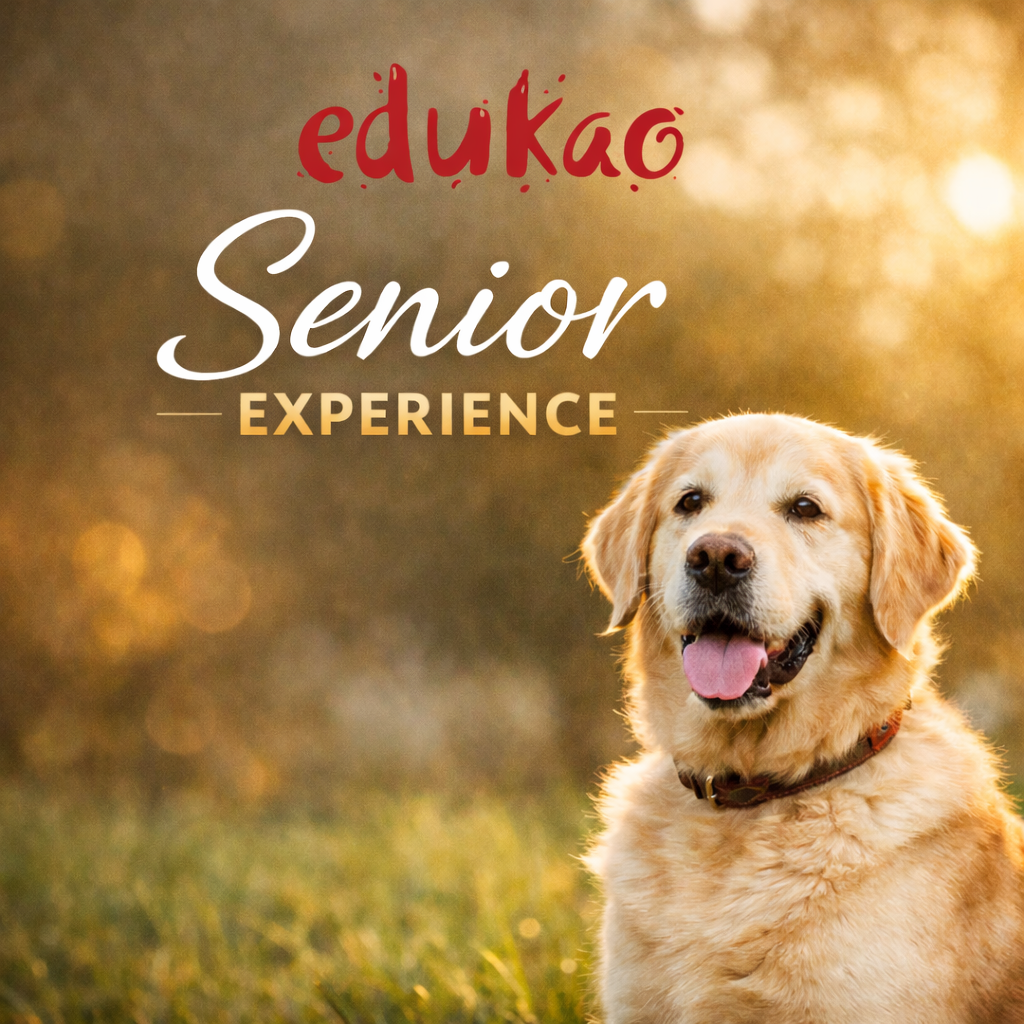 Senior Experience: adopta un perro senior con carácter definido y educación