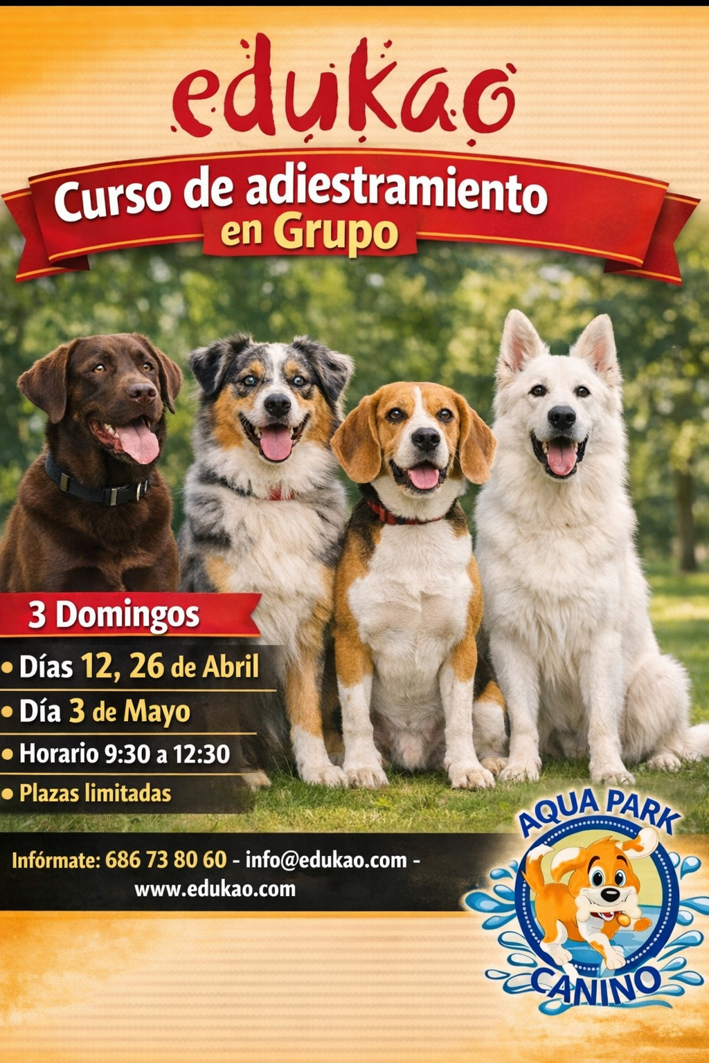 Curso 3 Domingos Aquapark canino