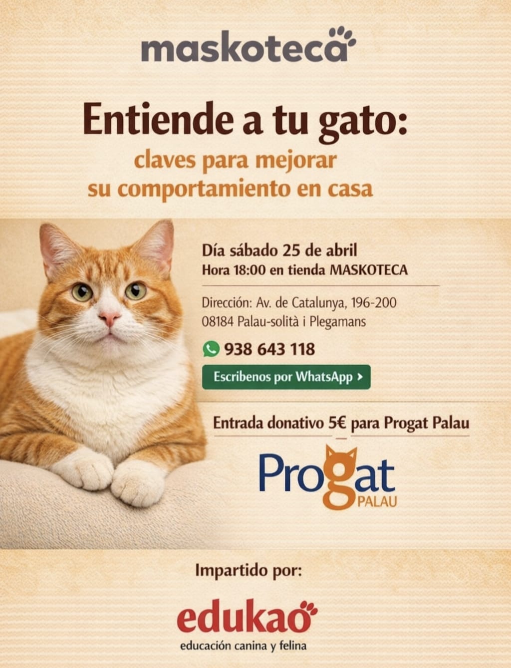 Entiende a tu gato