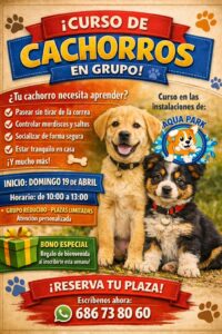 Curso para cachorro de perro en Barcelona: por qué hacerlo a tiempo marca la diferencia