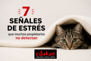 7 señales de estrés que muchos propietarios no detectan