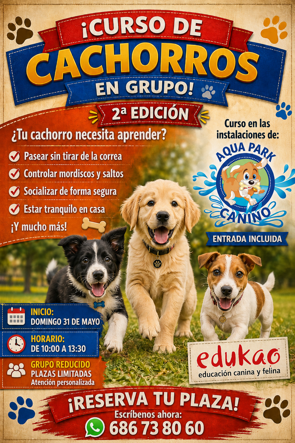 cachorro de perro