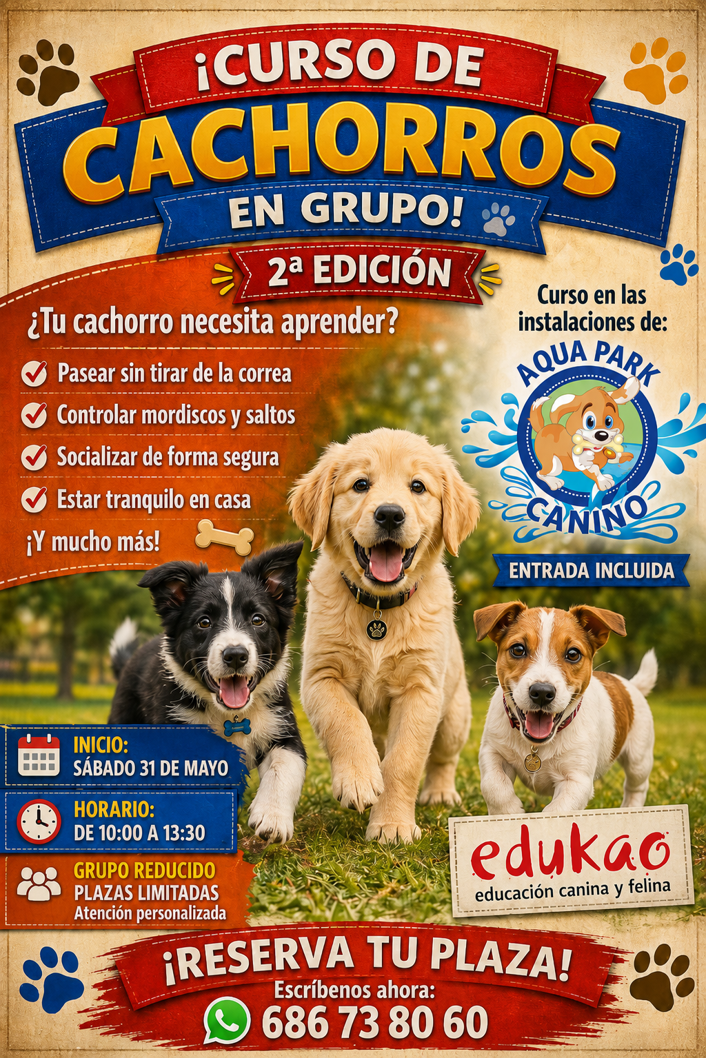 cachorro de perro