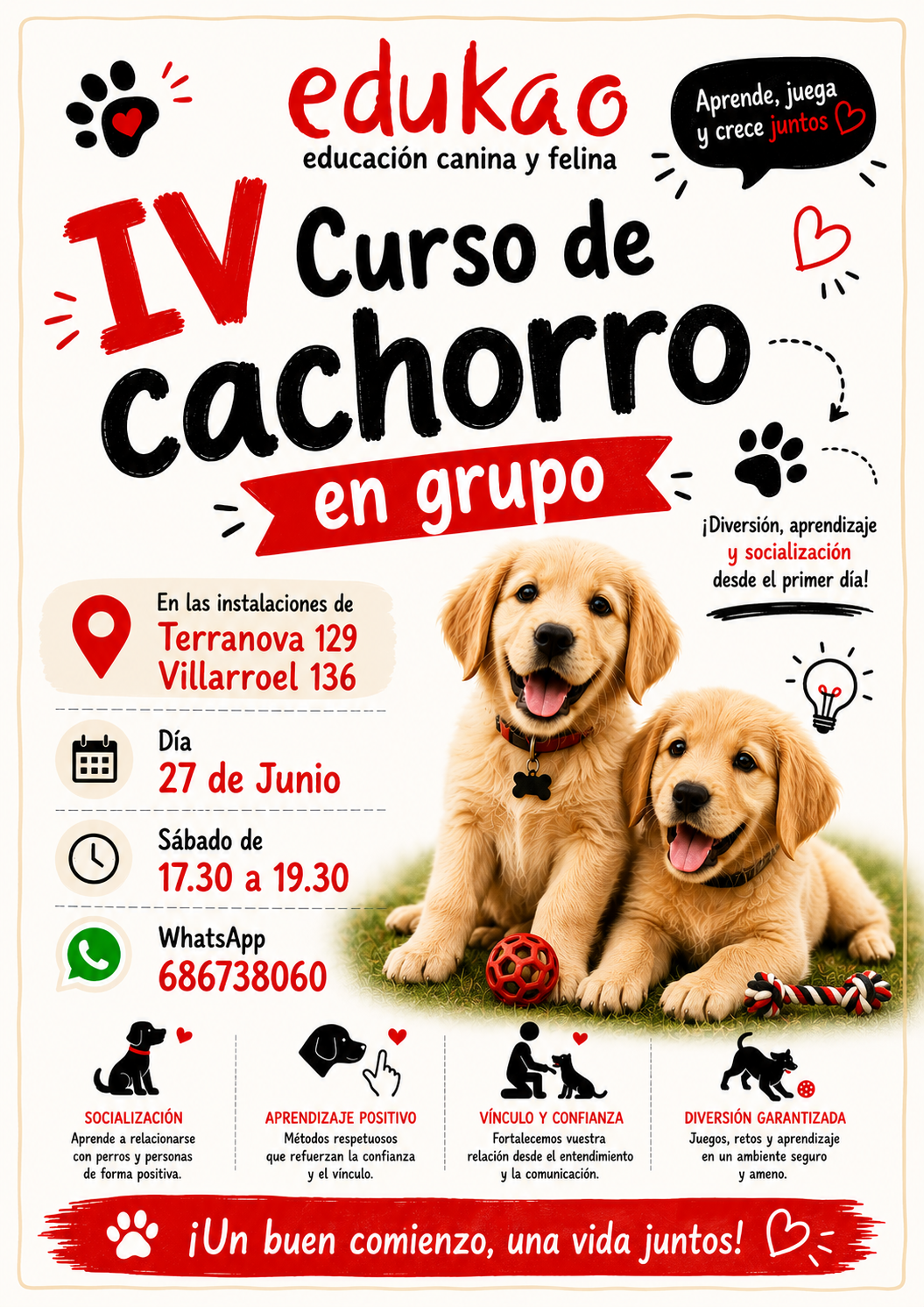 cachorro de perro