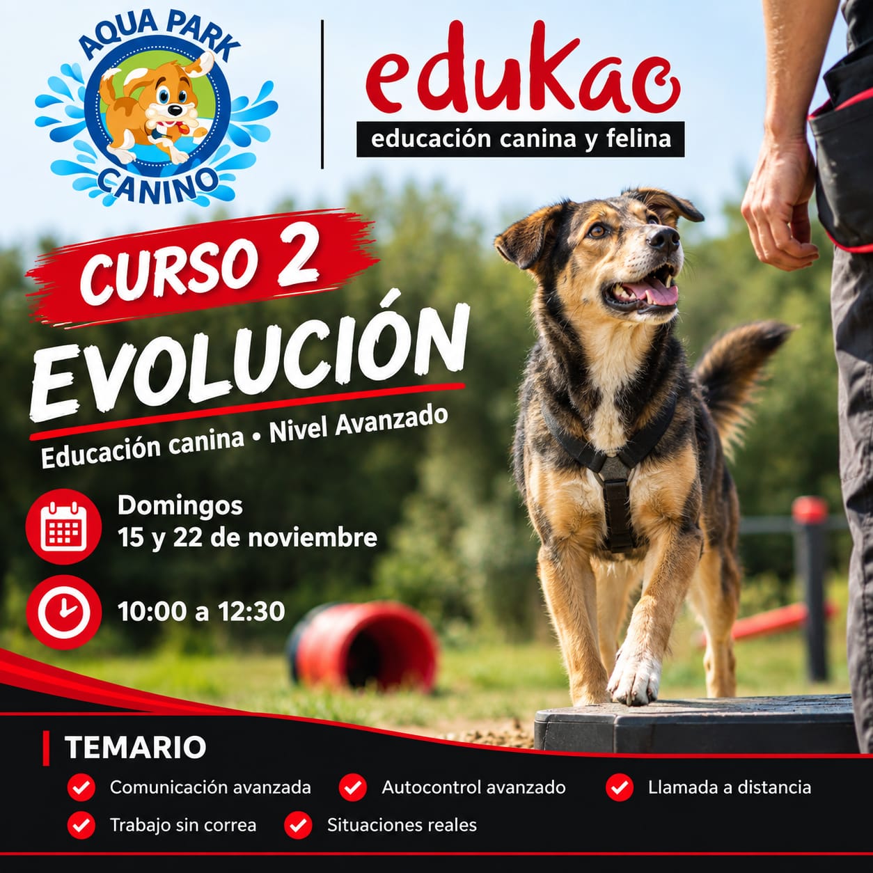 curso adiestramiento